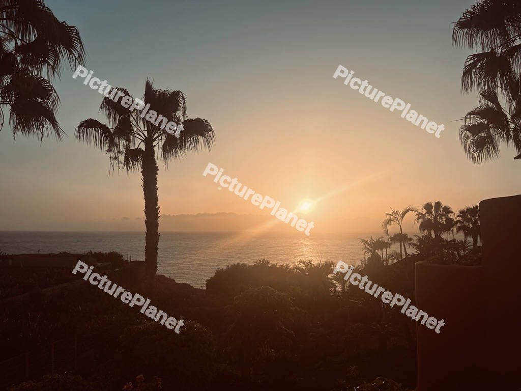 Sunset Sea View
